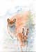 Bild29 Fuchs+Hase